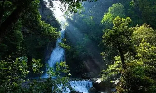 Shen Nong Gu National Forest Park