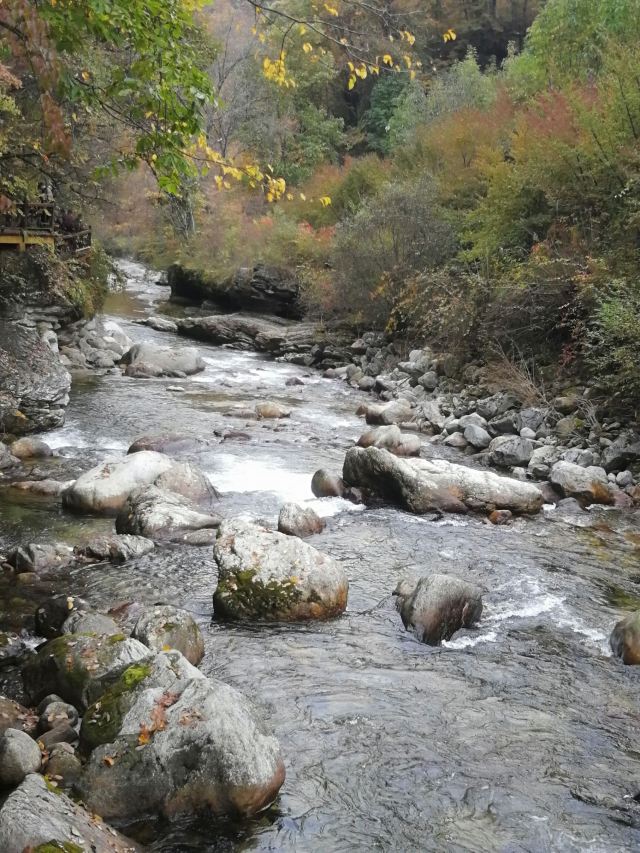 黃柏原
