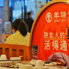 YANG RUI TANG User Photo