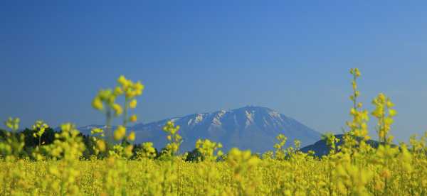 Hôtels 4 étoiles à Préfecture d'Iwate, Japon