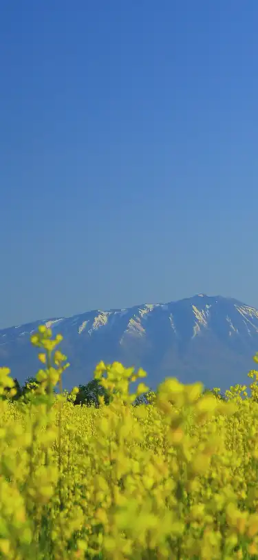 피트니스 시설 시설을 갖춘 일본 이와테 현 호텔