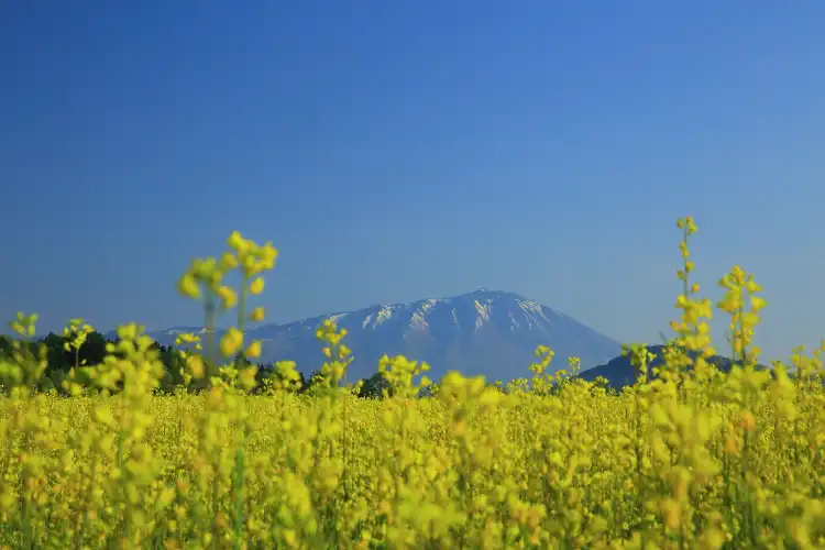 Hotels With Wi-Fi in Iwate Prefecture, Japan