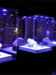 Langzhong Ancient City Geological Exhibition Hall