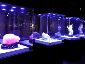 Langzhong Ancient City Geological Exhibition Hall