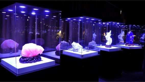 Langzhong Ancient City Geological Exhibition Hall