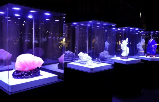 閬中古城地質礦物博覽館門票成人