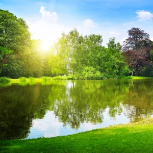 水元公園