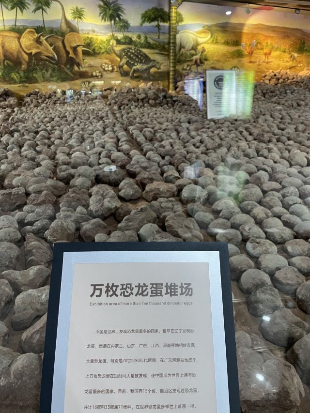 Heyuan City Museum (Heyuan Dinosaur Museum)
