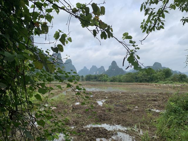 Mingshi Scenic Area