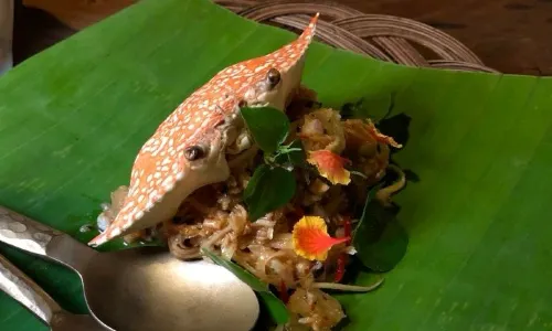THE GULAI HOUSE