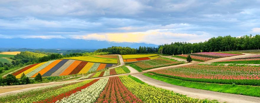 Furano