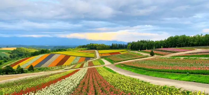 โรงแรมในฟูราโนะ