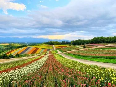 Furano