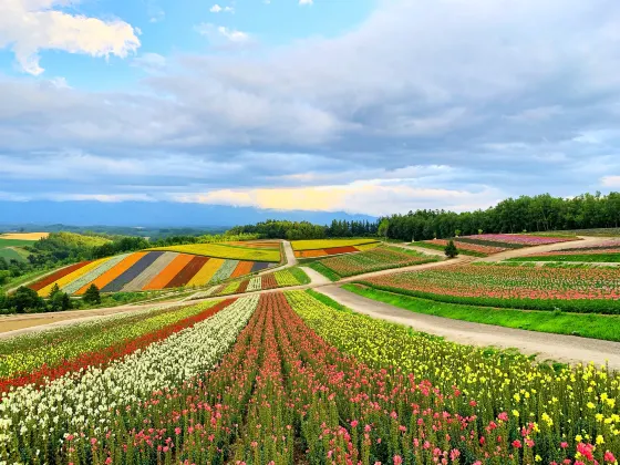 3-звездочные отели в г. Ноборибецу