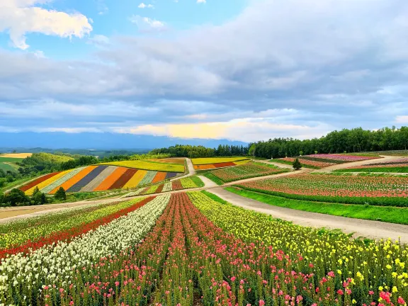 Отели рядом с достопримечательностью «Niseko Village Pure»