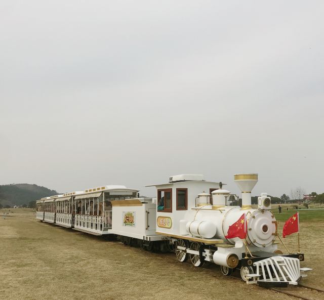 목련 초원
