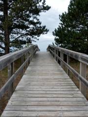 Scenic Road Walkway