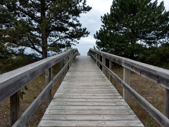 Scenic Road Walkway