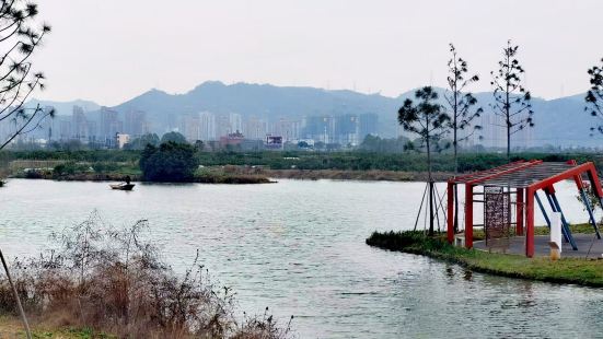 空气清新绿树成荫植物茂盛，吸氧散步锻炼好地方，家门口公园，有