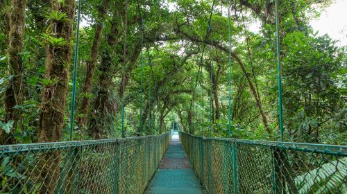 Selvatura Adventure Park