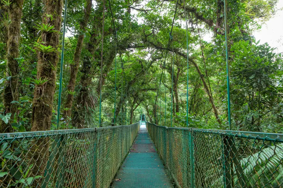 Selvatura Adventure Park