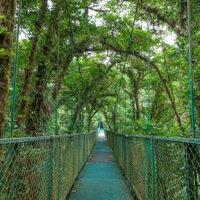 Mountain View Hotels in Monteverde