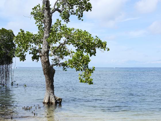 Siquijor