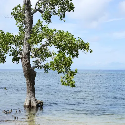 Vé máy bay Zamboanga TP. Hồ Chí Minh