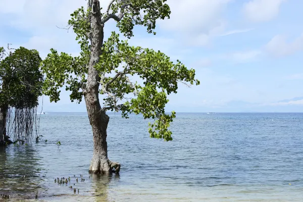 Hotel Dumaguete