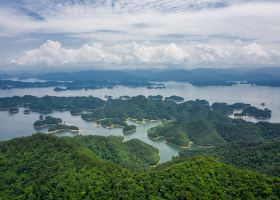 Tianjin to Iki Flights