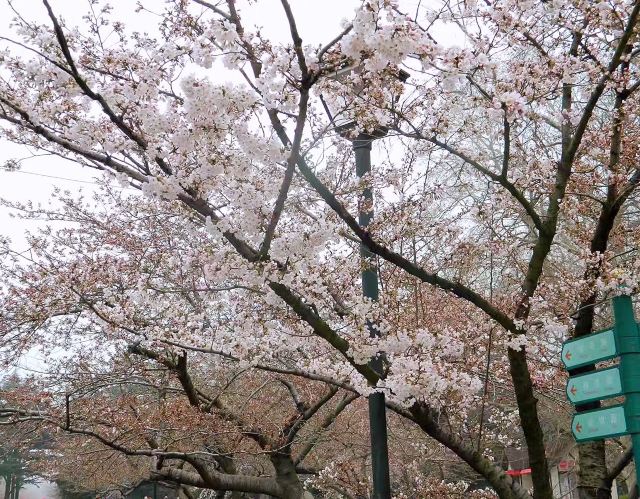 Zhongshan Park