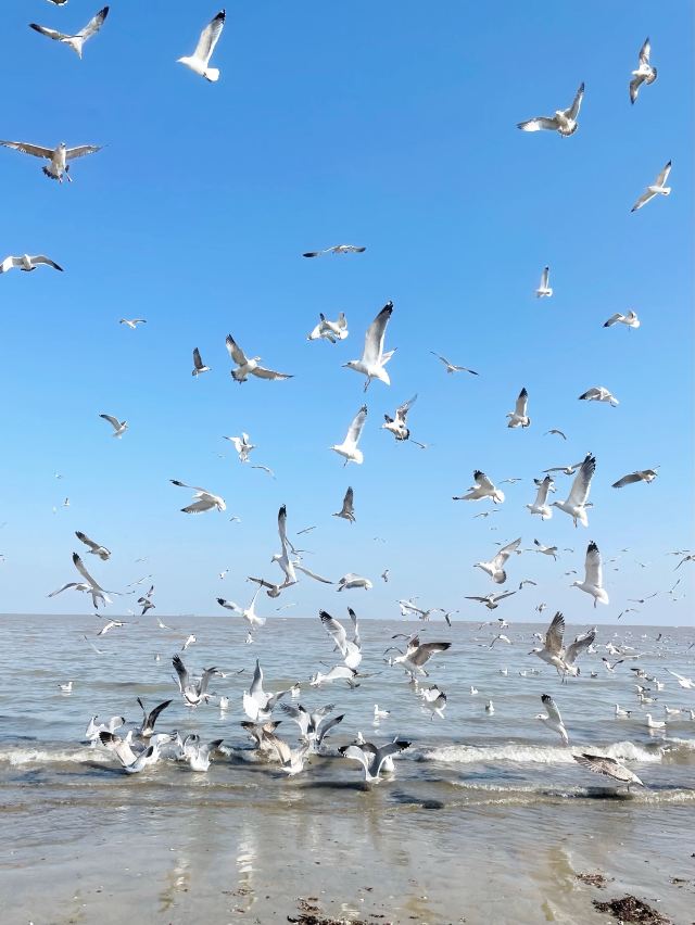 Eight Immortals Crossing the Sea