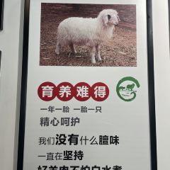 清真·宁夏印象·盐池滩羊肉体验店(江宁路店) User Photo