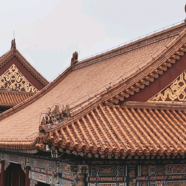 Beijing classics: Forbidden City