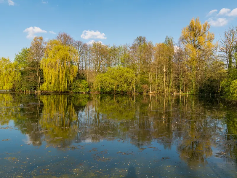 Gladbeck