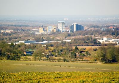 Basingstoke
