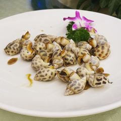 乐兴海鲜餐厅 User Photo