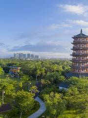 Dongguan Ecological Park Wetland Sceneic Area