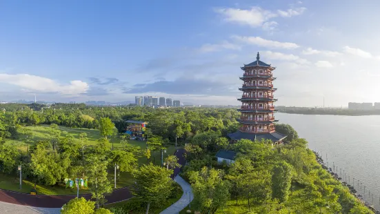 東莞生態園濕地景區