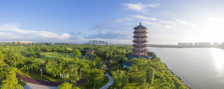 Dongguan Ecological Park Wetland Sceneic Area