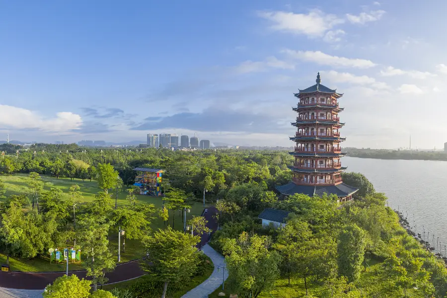 Dongguan Ecological Park Wetland Sceneic Area