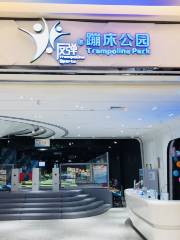 反彈蹦床公園（青島融創茂店）