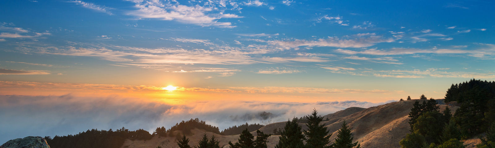 Marin CountyTours