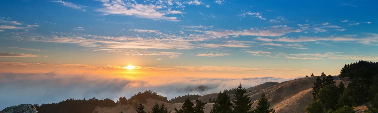 Marin CountyTour giornalieri