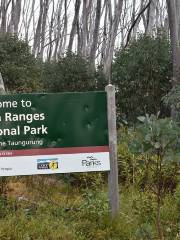 Yarra Ranges National Park