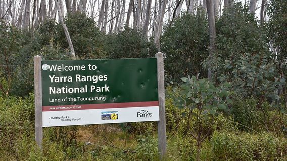 Yarra Ranges National Park