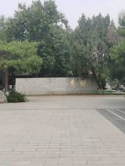 สวนสาธารณะจินซู