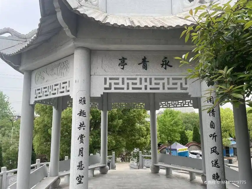 鄰近南山公園的酒店