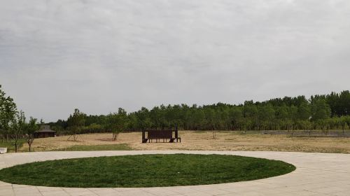 潮白河櫻花公園