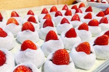 [Itigo no  Sato Farm] Dining table